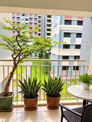 Blk 683C Woodlands Drive 62 (Woodlands), HDB 5 Rooms #637505051